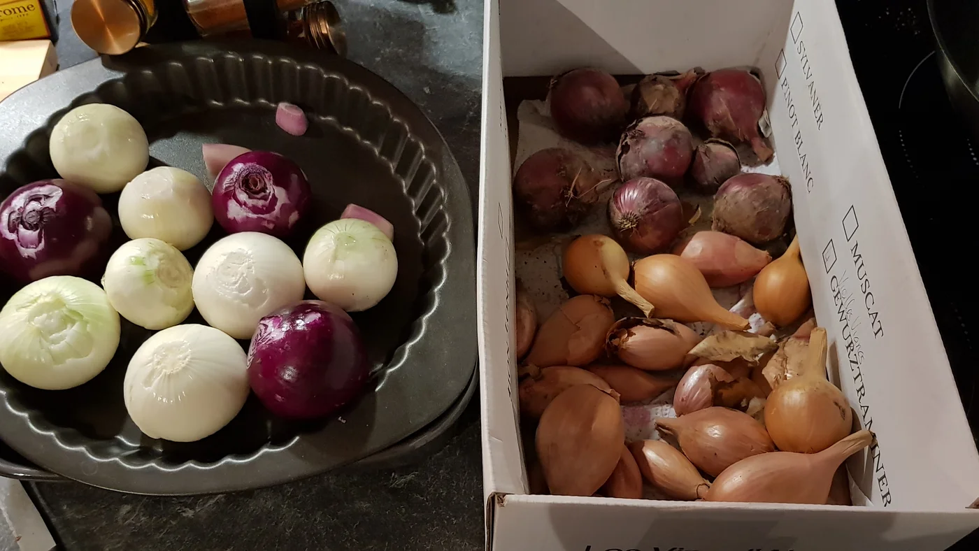 Oignons du jardin